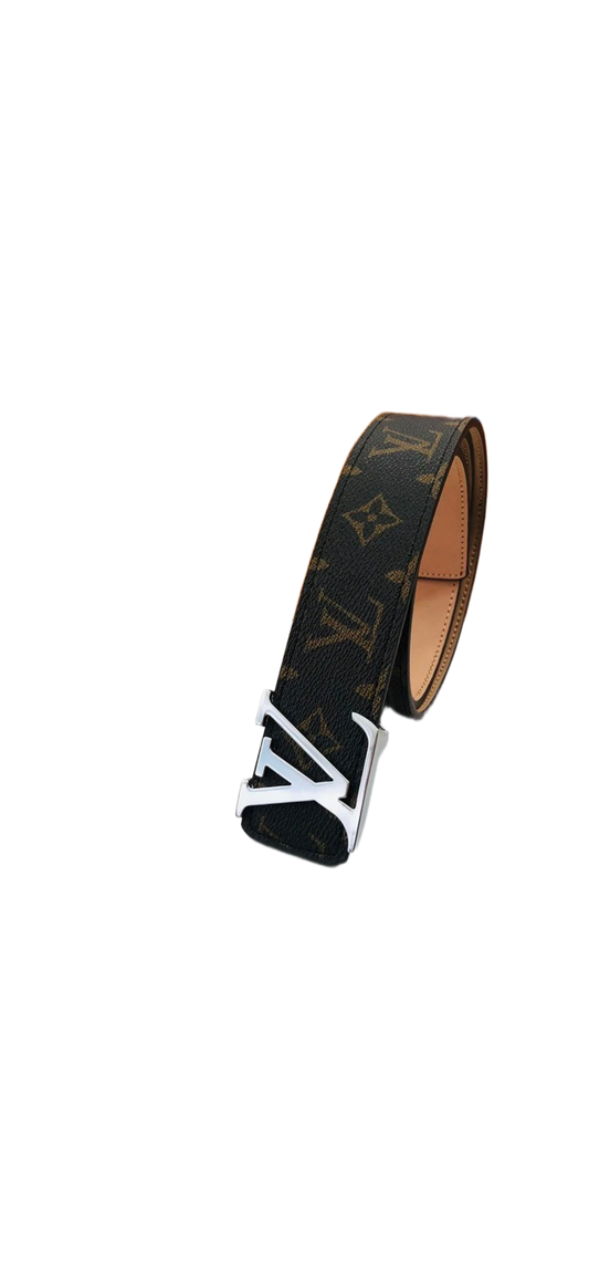 Silver Brown Belt